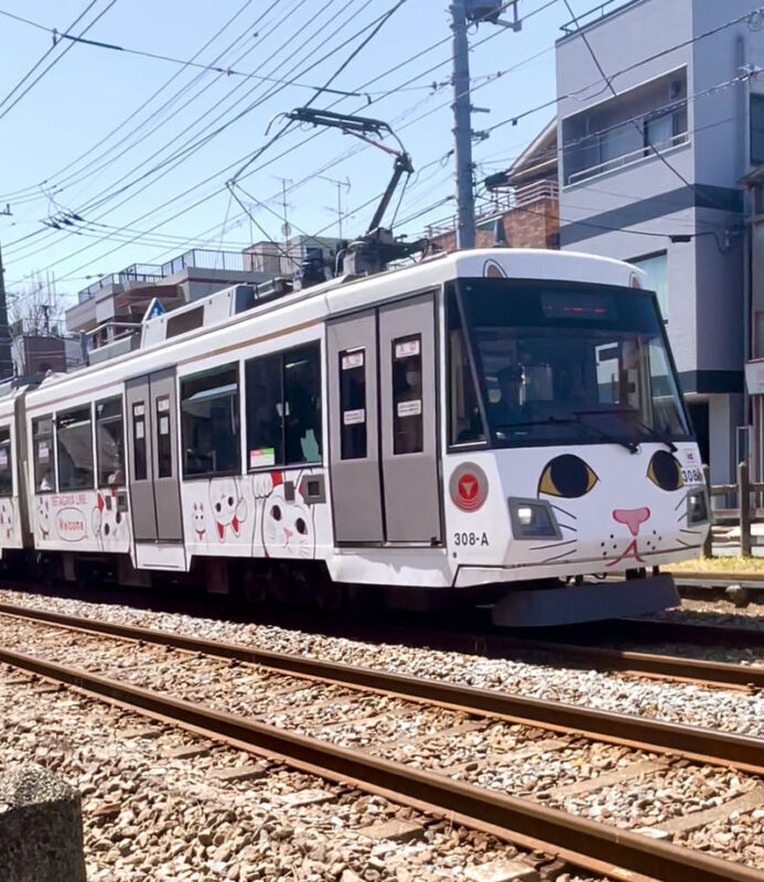 Tokyo Gotokuji Lucky Cat Temple Half-Day Walking Tour - Should you book the Gotokuji walk?