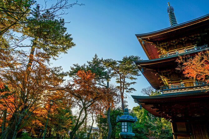 Tokyo: Gotokuji Temple and Shimokitazawa Day Tour - FAQs