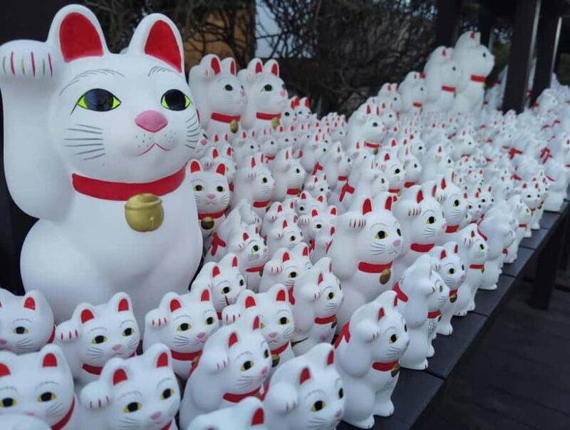 Tokyo: Gotokuji Temple Guided Tour with Manekineko Statues - Why This Tour Offers Great Value