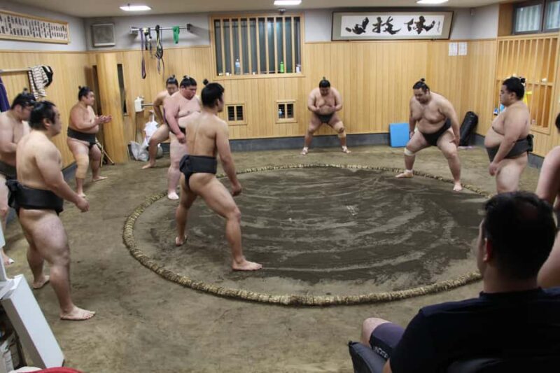 Tokyo: Grand Sumo Morning Training Tour - Good To Know