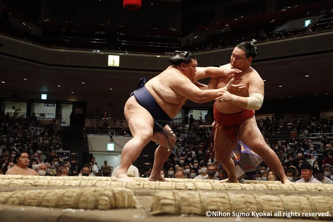 Tokyo Grand Sumo Tournament Viewing Tour - Tour Highlights and Inclusions
