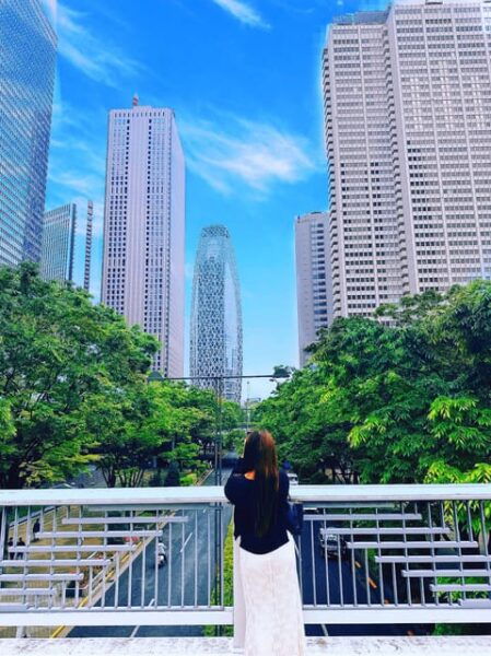 Tokyo: Guided Daytime Walking Tour in Shinjuku District - Tips for Your Walking Tour