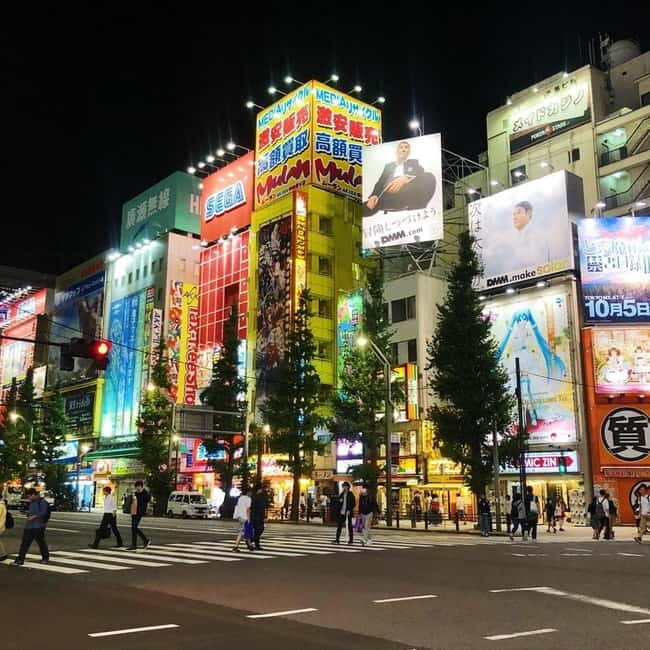 Tokyo: Guided Exploration with a Private Driver - Costs and Value