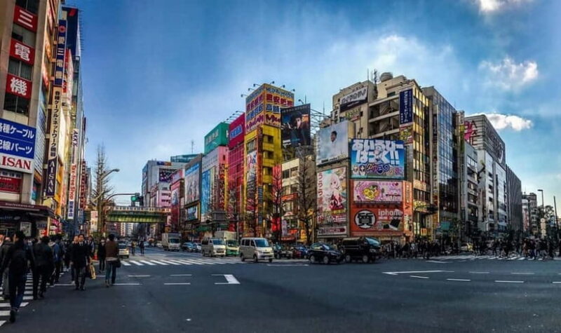 Tokyo: Guided Exploration with a Private Driver - Authentic Insights from Reviews