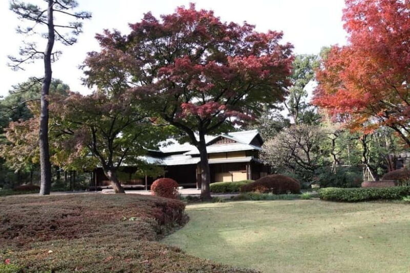 Tokyo: Guided Exploration with a Private Driver - FAQs