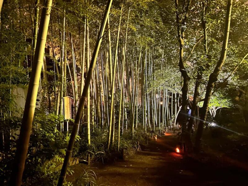 TOKYO: Guided Garden Tour with SP Dinner by E-bike -NIGHT - Why This Tour Offers Great Value