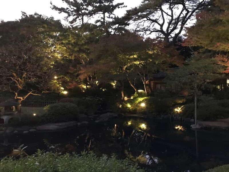 TOKYO: Guided Garden Tour with SP Dinner by E-bike -NIGHT - Practical Details and Tips