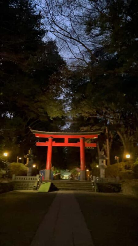 TOKYO: Guided Garden Tour with SP Dinner by E-bike -NIGHT - FAQ