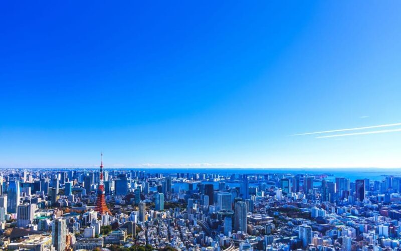 Tokyo: Guided Helicopter Ride with Mount Fuji Option - What to Expect from Your Helicopter Tour