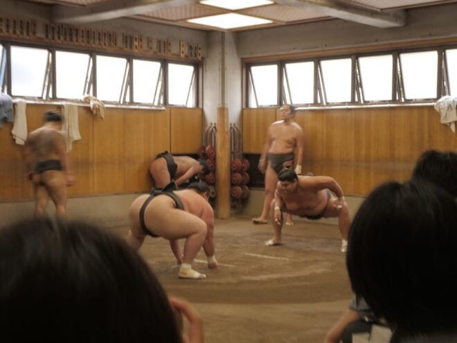 Tokyo: Guided Sumo Stable Visit for Morning Practice - Practical Information for Visitors