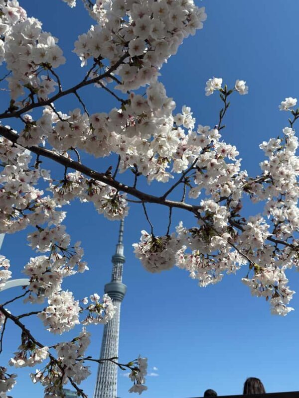 Tokyo Guided Tour: Asakusa, Sensoji Temple, Akihabara, Sushi in Kanda - Good To Know