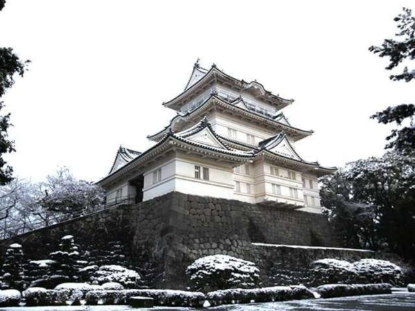 Tokyo: Guided Tour Mt. Fuji, Oishi Park, Odawara,Tokyo Tower - Additional Activities