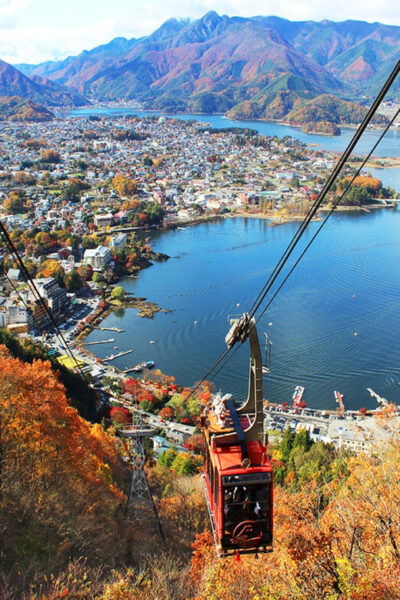 Tokyo: Guided Tour Mt. Fuji, Oishi Park, Odawara,Tokyo Tower - Frequently Asked Questions