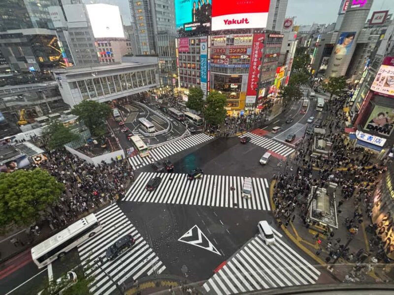 Tokyo Guided Tour: Omotesando, Takeshita dori, Meiji Jingu, and Shibuya - FAQs