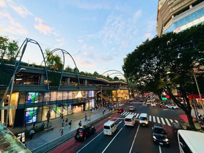 Tokyo Guided Tour: Omotesando, Takeshita dori, Meiji Jingu, and Shibuya - Discovering Tokyo in Four Hours: An Authentic Guide