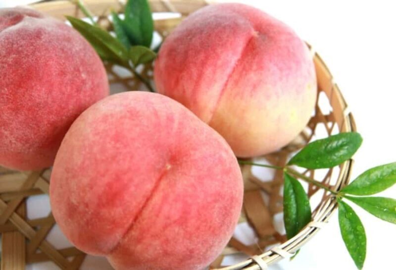 Tokyo: Gunma Scenic Day Trip with Fruit Picking, Crab Lunch - Who This Tour Suits Best