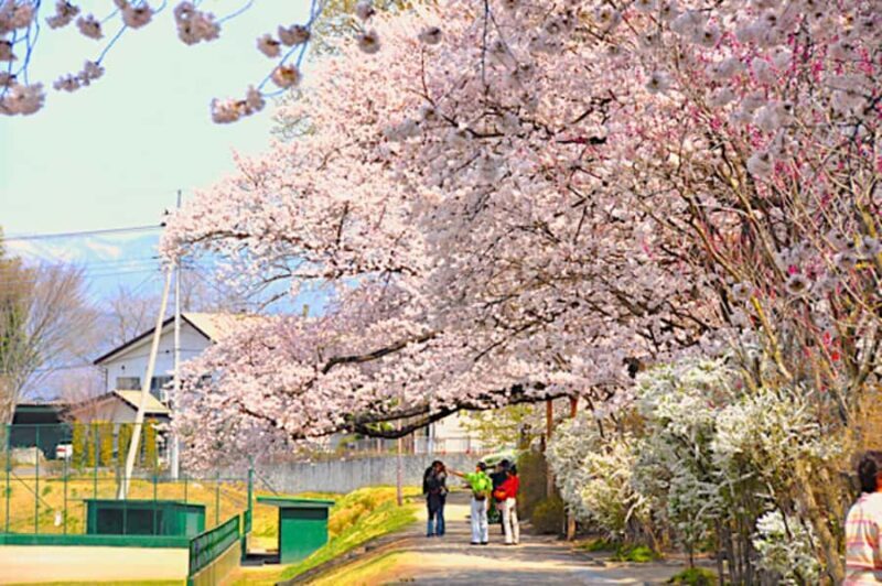 Tokyo: Gunma Scenic Day Trip with Fruit Picking, Crab Lunch - FAQ