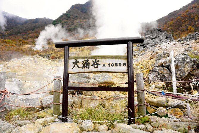 Tokyo: Hakone and Owakudani and Lake Kawaguchi Day Tour - Tour Highlights
