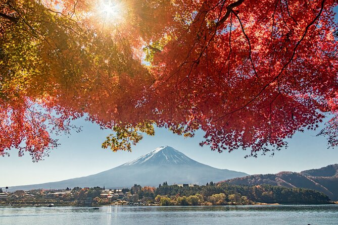 Tokyo: Hakone and Owakudani and Lake Kawaguchi Day Tour - 4. Inclusions and Exclusions