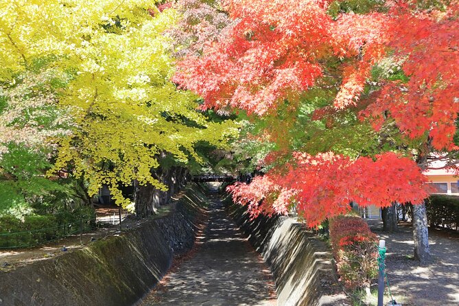 Tokyo: Hakone and Owakudani and Lake Kawaguchi Day Tour - 6. What To Expect