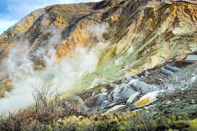 Tokyo: Hakone and Owakudani and Lake Kawaguchi Day Tour - 7. Cancellation Policy