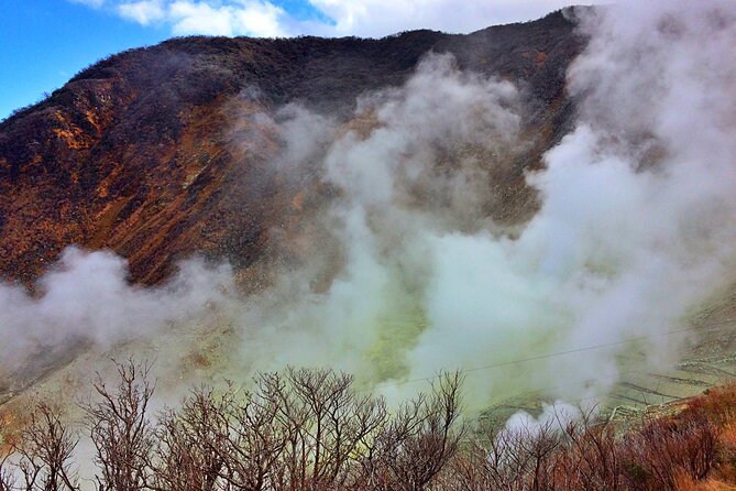 Tokyo: Hakone and Owakudani and Lake Kawaguchi Day Tour - 8. Pricing and Booking