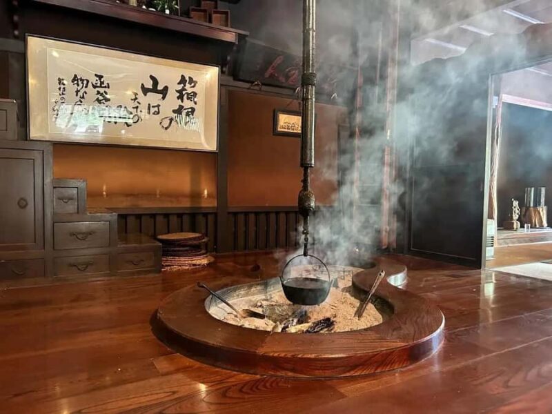 Tokyo: Hakone Day Tour With Teahouse Hearth, Cruise, Volcano - Introducing the Hakone Day Tour from Tokyo