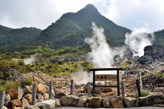 Tokyo: Hakone Fuji Day Tour W/ Cruise, Cable Car, Volcano - Booking Process