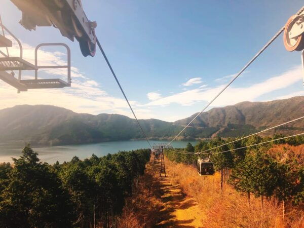 Tokyo: Hakone Fuji Day Tour W/ Cruise, Cable Car, Volcano - Customer Reviews