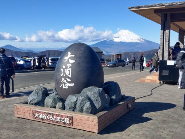 Tokyo: Hakone Fuji Day Tour W/ Cruise, Cable Car, Volcano - Frequently Asked Questions