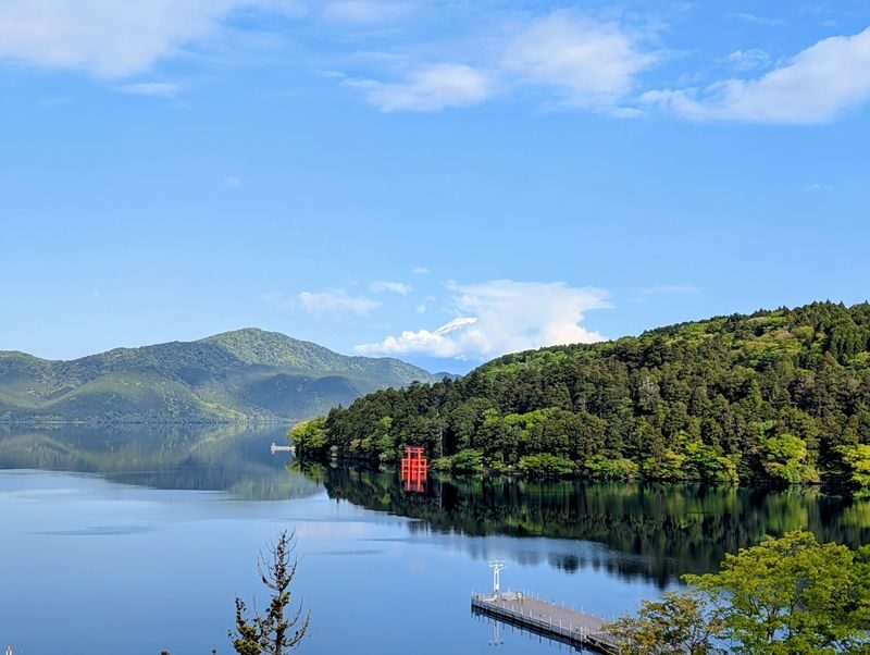 Tokyo Hakone Full-Day Private Customizable Tour - At a glance