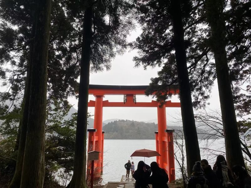 Tokyo Hakone Full-Day Private Customizable Tour - Why a private ride may matter for families