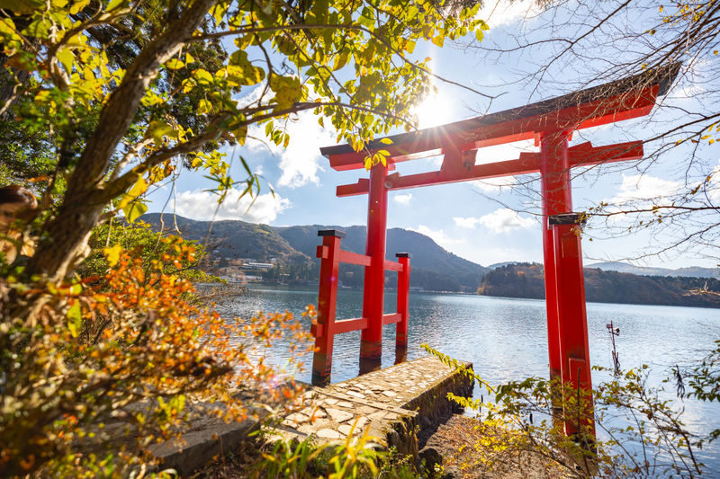Tokyo Hakone Full-Day Private Customizable Tour - Booking details worth checking