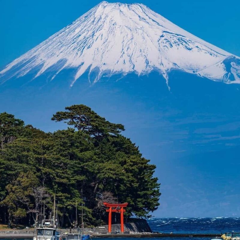 Tokyo: Hakone, Odawara Castle, Lake Ashi Cruise Private Tour - Hakone Shrine and Onshi-Hakone Park: Cultural and Natural Beauty