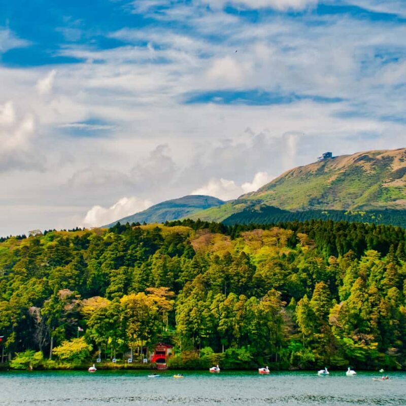 Tokyo: Hakone, Odawara Castle, Lake Ashi Cruise Private Tour - Good To Know  