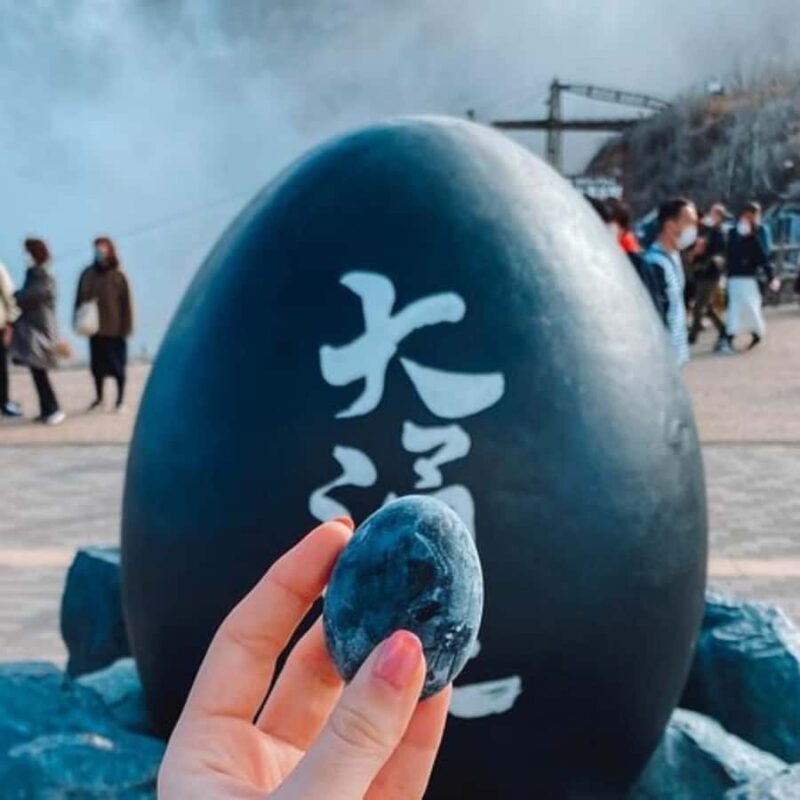 Tokyo: Hakone, Odawara Castle, Lake Ashi Cruise Private Tour - The Sum Up  