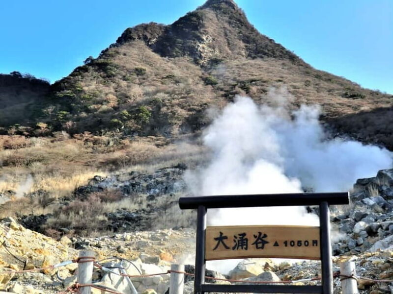 Tokyo: Hakone, Owakudani & Gotemba Premium Outlet 1-Day Tour - Final Thoughts