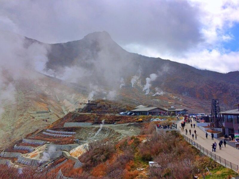 Tokyo: Hakone, Owakudani & Gotemba Premium Outlet 1-Day Tour - FAQ