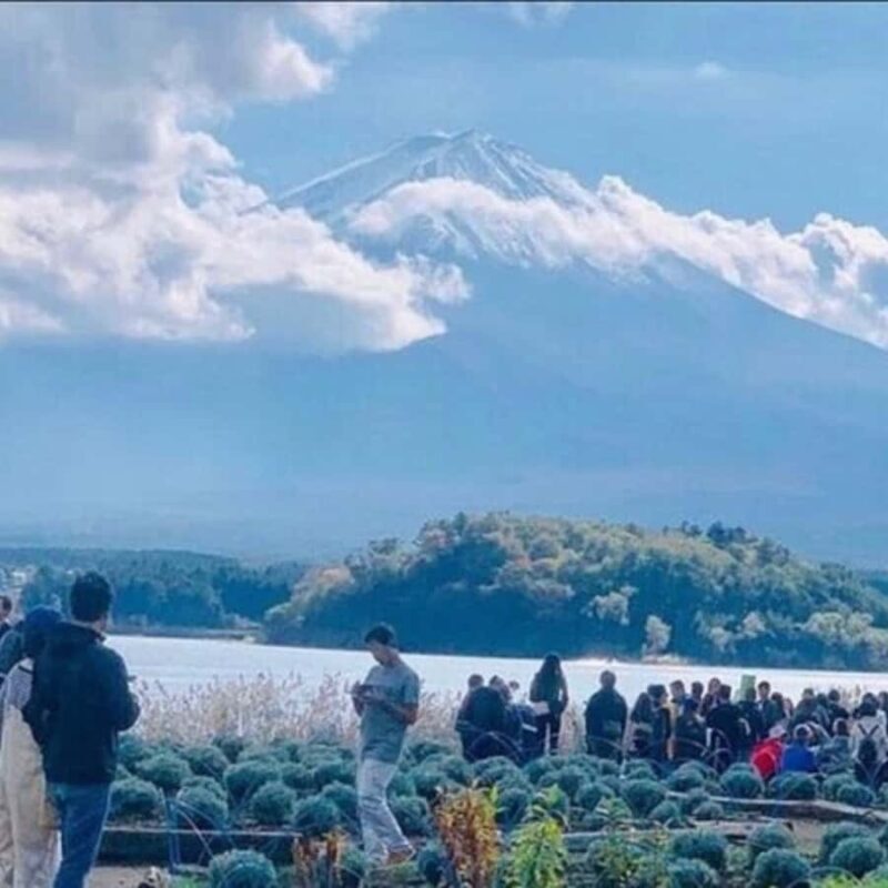 Tokyo: Hakone Private Tour By English Verbal Driver In Prado - The Value of All-Inclusive Pricing