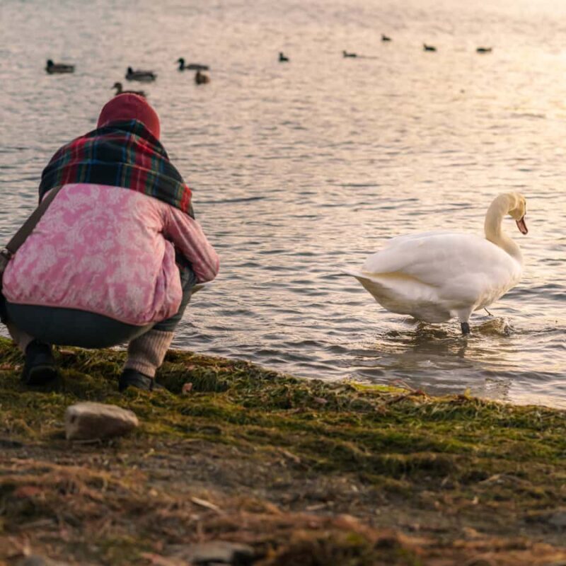 Tokyo: Hakone Private Tour By English Verbal Driver In Prado - The Experience for Different Travelers