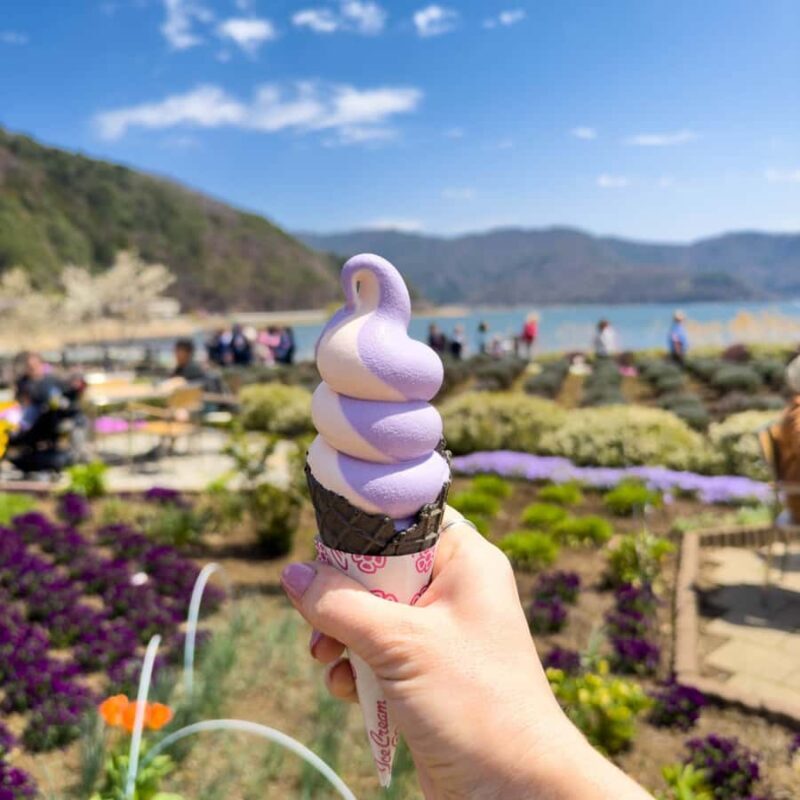 Tokyo: Hakone Private Tour By English Verbal Driver In Prado - Frequently Asked Questions