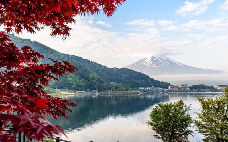 Tokyo: Hakone Private Tour with Spa and Ropeway Ride - An In-Depth Look at the Hakone Private Tour