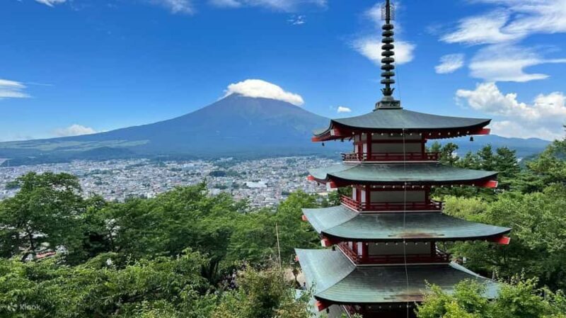 Tokyo: Hakone Private Tour with Spa and Ropeway Ride - Who Will Love This Tour?  