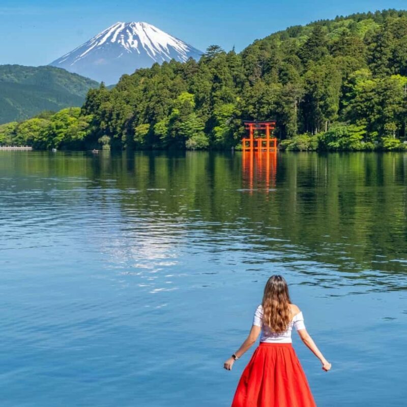 Tokyo: Hakone Ropeway, Museum, Shrine Private Full Day Tour - Who Should Book This?