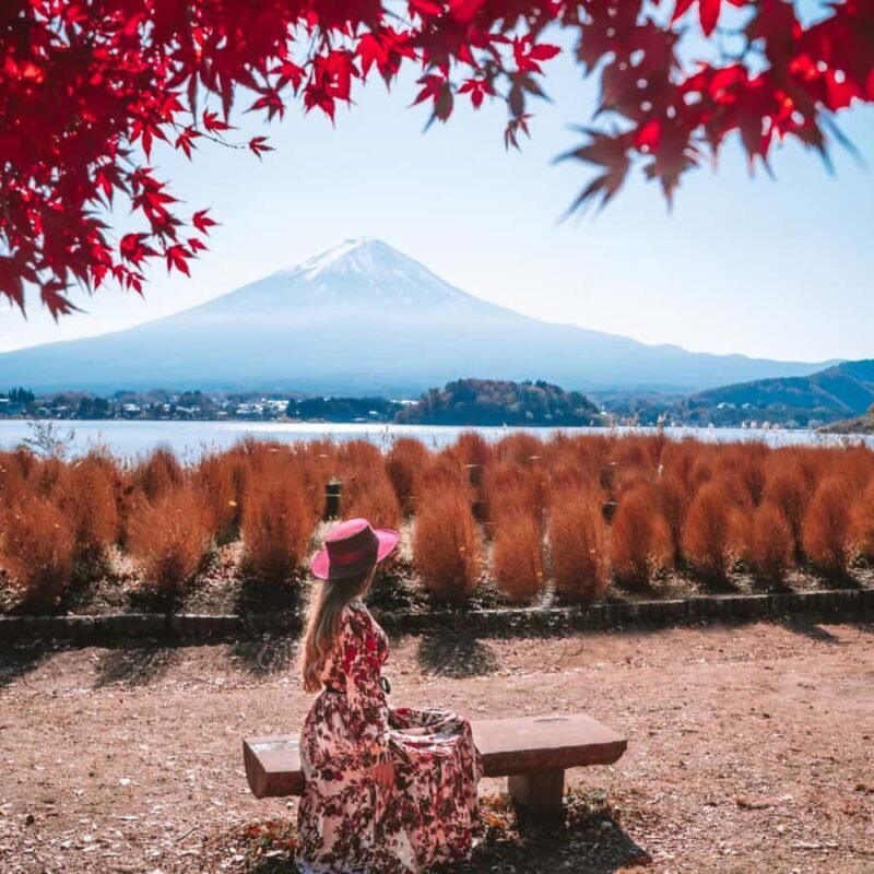 Tokyo: Hakone Ropeway, Museum, Shrine Private Full Day Tour - The Sum Up