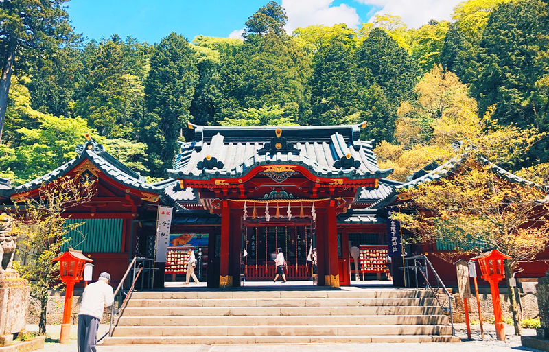 Tokyo Hakone Shrine & Atami Fireworks Full-Day Romantic Tour - Is $35.89 good value?