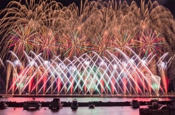 Tokyo Hakone Shrine & Atami Fireworks Full-Day Romantic Tour - Who should choose this tour?