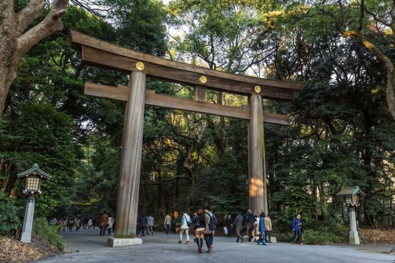 Tokyo: Half-Day Afternoon Small Group Tour - Why This Tour Stands Out
