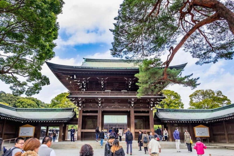 Tokyo: Half-Day Afternoon Small Group Tour - Introduction