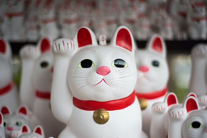 Tokyo Half-day Customized Private Tour - Meeting and Pickup Details
